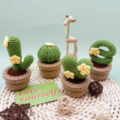 Lily's Lyric Crochet & Craft Kit | Cactus LOVE| Step-by-Step Video Tutorial for Adults Teenagers | Craft Gift Idea DIY Home Decoration......
