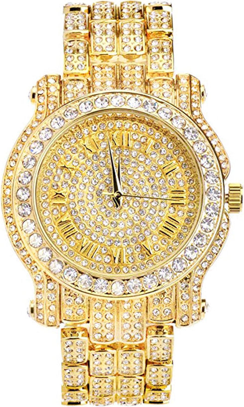 Techno Pave Mens 45mm Iced Diamond Roman Dial Watch...
