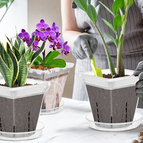 Orchid Pot, 7 Pack 6 Inch Clear Square Plastic Breathable Orchid Pots for Repotting, Plant Potswith Holes and Saucers for Indoor Plants, Spider Pl...