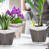 Orchid Pot, 7 Pack 6 Inch Clear Square Plastic Breathable Orchid Pots for Repotting, Plant Potswith Holes and Saucers for Indoor Plants, Spider Pl...