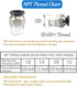 PNEUMATIC Elbow and Straight Combination 1/2 Inch Tube OD x 1/4 NPT Thread Push to Connect Fittings PC-1/2-1/4+PL-1/2-1/4(Pack of 12) (12, 1/2-1/4...