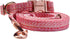 Adjustable Breathable Dog Collar and Leash Set for Puppies, Small, and Medium-Sized Dogs - Lightweight, Durable, and Comfortable - Ideal for Summe...