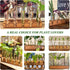 Plant Propagation Station, Plant Terrarium with Wooden Stand for Hydroponics Plants Office Decor Unique Gardening Gifts for Women Plant Lovers - 5...