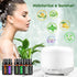 Essential Oils Sets Pure Oils kit- Top 6 Aromatherapy Oils Gift Set-6 Pack, 10ML(Rosemary, Lavender, Lemon Grass, Orange, Peppermint, Tea Tree)...