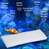 Nosiny 20 Pieces Filter Foam Pad Compatible with U3 Underwater Sponge Aquarium Underwater Filter Accessories Filter Pad Compatible for Aquarium...