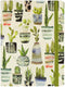 Watercolor Succulents Journal (Diary, Notebook)...