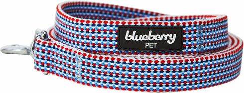 Blueberry Pet Multicolor Braids Dog Leash, 5 ft x 5/8", Small, Leashes for Dogs...