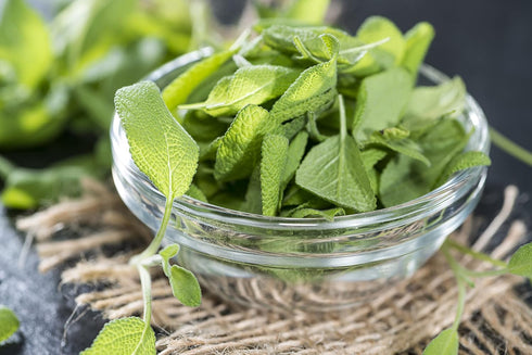 Perennial Herb Seeds Collection,1500 Seeds, 4 Heirloom Non GMO Varieties, Greek Oregano, Sage, Thyme, Chives...
