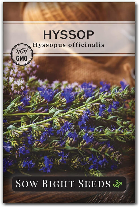 Sow Right Seeds - Large Herbal Tea Garden Seed Collection for Planting - Lemon Balm, Mint, Chamomile, Lavender, Echinacea, Borage, Hyssop, Calendu...