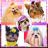 100pcs Dog Hair Bows, Bulk Cute Puppy Pet Small Dog Hair Bows with Rubber Bands, Mix Handmade Flower Puff Ball Rhinestone Pearls Dog Bows, Yorkie ...