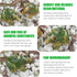 4 PCS Miniature Frog Statue, Outdoor Garden Frog Figurines Decoration, Mini Cute Frog Figures for Patio Yard Micro Landscape Fairy Garden Ornament...
