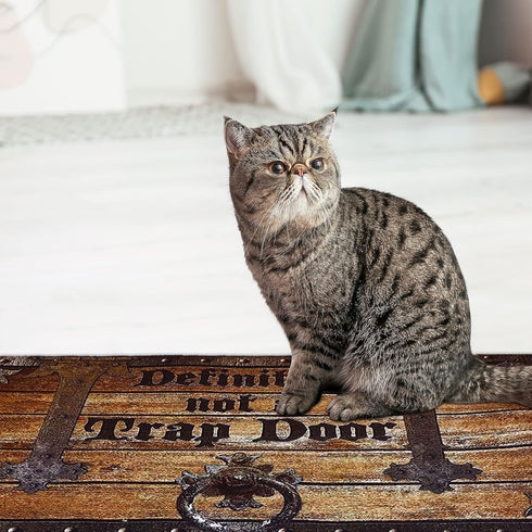 Definitely Not a Trap Doormat Non Slip Welcome Mat Indoor and Outdoor Funny Doormat Absorbent Washable Front Door Mats Floor Rugs for Warm House G...