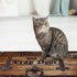 Definitely Not a Trap Doormat Non Slip Welcome Mat Indoor and Outdoor Funny Doormat Absorbent Washable Front Door Mats Floor Rugs for Warm House G...