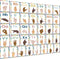 YIYDONG Sign Language Bulletin Board Letters - 36 ASL Alphabet Learning ABC Alphabet Poster Classroom Decor Cards Set Kindergarten/Primary School ...