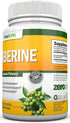 Berberine - 1200Mg Per Serving - 90 Vegetarian Capsules - Pure Berberine HCL Extract Supplement - Superior Potency to Support Immune Health...