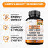 Mushroom Supplement 10x Complex - Lions Mane, Turkey Tail, Cordyceps, Reishi, Chaga, Maitake, Shiitake, Oyster Extract Mushrooms - Nootropic Brain...