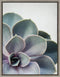 Kate and Laurel Sylvie Succulent 5 Framed Canvas by F2 Images, 18x24 Gray...