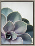 Kate and Laurel Sylvie Succulent 5 Framed Canvas by F2 Images, 18x24 Gray...