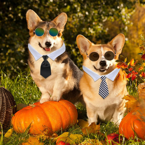8 Pcs Pet Dog Cat Costume Halloween Dog Neck Tie Dog Sunglasses for Small Dog Cat Round Metal Classic Retro Sunglasses Tie Pet Costume Tuxedo Neck...