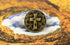 Bezelry 12 Pieces Cross Symbol Metal Shank Buttons. 20mm (3/4 inch) (Antique Brass)...