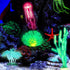 Frienda 8 Pieces Glowing Fish Tank Decorations Plants with 2 Style Glowing Kelp, Sea Anemone, Simulation Coral, Jellyfish, Lotus Leaf, Mushroom fo...