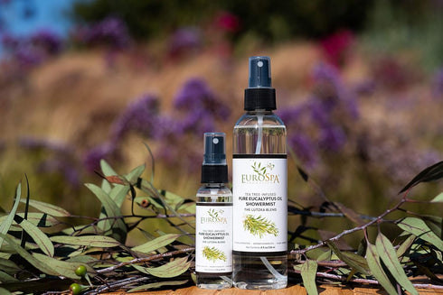 EuroSpa Aromatics Pure Eucalyptus Oil ShowerMist and Steam Room Spray, All-Natural Premium Aromatherapy Essential Oils - Tea Tree Infused, 2oz, 2 ...