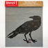 Stencil1 Raven Stencil 8.5 x 11 - Durable Quality Reusable Stencils for Drawing Painting - Bird Stencil Animal Nature Halloween Decorating Items a...