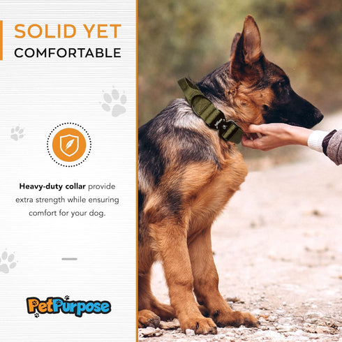 2 Inch Tactical Dog Collar with Handle for Training, Hunting, and Pet Control, Heavy Duty and Durability Military Nylon with Metal Buckle, Large D...