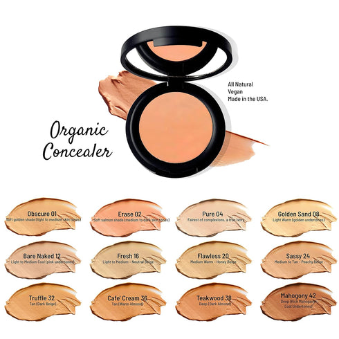Mom's Secret 100% Natural Concealer, Organic, Vegan, Gluten Free, Cruelty Free, Made in the USA, 0.11 oz. (Flawless 20)...