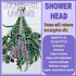 2 Bundles Dried Eucalyptus & Lavender Flowers for Shower, 100 pcs 17'' Natural Real Hanging Silver Dollar Eucalyptus Leaves Stems,Fresh Shower Pla...