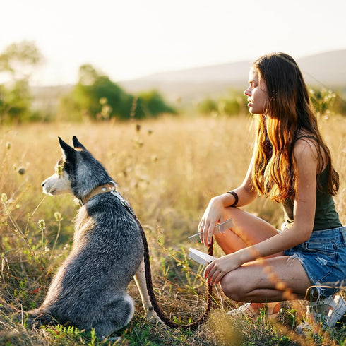 9 Pcs Dog Grooming Brush Shedding Kit Self Cleaning Slicker Dog Brush Shedding and Flea Comb Nail Clippers and File Pet Grooming Brush with Adjust...