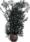 BiOrb 46093.0 Sea Fan Small Black Aquariums...