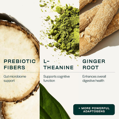 Gainful Daily Performance Greens Powder, Gut Health, Energy, Focus and Immune Support with L Theanine, Organic Greens, Chlorella, Ginger, Green + ...