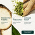 Gainful Daily Performance Greens Powder, Gut Health, Energy, Focus and Immune Support with L Theanine, Organic Greens, Chlorella, Ginger, Green + ...