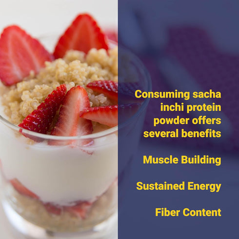 Organic Sacha Inchi Plant Based Protein Powder - by Aliksir - 100% Natural, Vegan, Gluten-Free, 9 Grams Protein, Low Carb, 9 Essential Amino Acids...