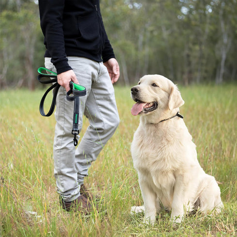 6 Foot Long Dog Leash with 2 Padded Handles - for Large and Medium Dogs - Walking Lead with Reflective Stitching and Traffic Handle for Control an...