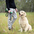 6 Foot Long Dog Leash with 2 Padded Handles - for Large and Medium Dogs - Walking Lead with Reflective Stitching and Traffic Handle for Control an...