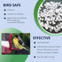 Feeder Fresh Bird Feeder and Seed Protector | Keeps Bird Seed for Outside Feeders Clean, Dry and Fresh Preventing Bird Feeder Seed from Caking | W...