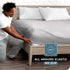 Bare Home Fitted Bottom Sheet Queen - Premium 1800 Microfiber - Ultra-Soft Wrinkle Free - Deep Pocket - Fitted Sheet (Queen, Light Grey)...