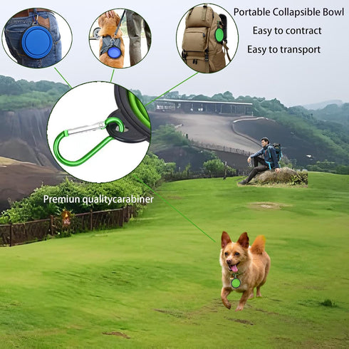 Medium Collapsible Dog and Cat Water Silicone Bowls, Pack of 2, Portable Pet Feeding Tray for Walking, Parking, Traveling with 2 Carabiners (grey&...