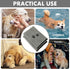 2Pieces Microfiber Pet Bath Towel Dog Towel.Dog Towel Soft Absorbent Drying for Small Medium Large Dogs and Cats with Great for Bathing and Groomi...