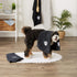 Bone Dry Pet Grooming Towel Collection Embroidered Absorbent Microfiber Drying Set, 15x30, Black, 3 Count...