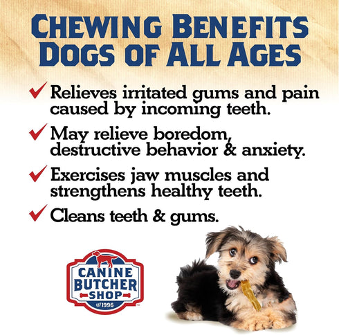 Turkey Tendons for Dogs Made in USA, Raised in USA, All-Natural Dog Chews for Small Dogs, Dog Snack for Large Dogs, Single-Ingredient Treat, Healt...