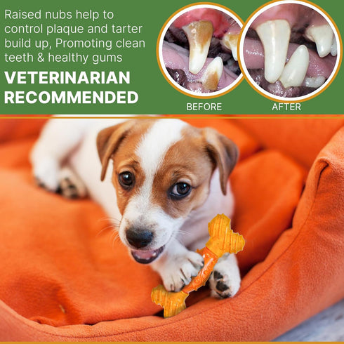 SPOT Bam-Bones Dental Bone - Made with Bamboo Fiber and a Massaging Rubber Center, Durable Oral Care Dog Chew for Light Chewers & Teething Puppies...