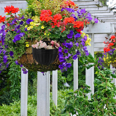 DOITOOL Wall Hanging Planters Basket Fence Plant Flower Pot Plastic Rattan Flower Bird Basket Half Moon Self Watering Garden Pots Holder for Porch...