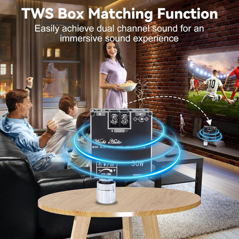30W TWS Bluetooth Amplifier Board, PEMENOL DC 9-24V 3A Audio Amplifier Module Support APP Control Modify Bluetooth Name and Password AUX Bluetooth...