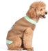 STAR WARS for Pets The MANDALORIAN Dog Sweater, Medium (M) | The MANDALORIAN & GROGU Sweater for Dogs | STAR WARS Pet Apparel, STAR WARS Sweater f...
