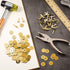 Yaocom 100 Pieces 3/4 Inch Brass Paper Fasteners Paper Brads, and 300 Pieces Plated Brass Washers with Hole Punch (Gold, 20mm Long)...