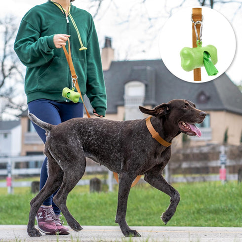 azuza Nylon Fall Dog collar and Leash set, Strong & Durable Basic Style Leash with Easy to Use Collar Hook, Available in Multiple Lengths for Smal...
