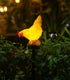 Solar Chicken Lights Chicken Statue Decorative Outdoor Chicken Solar Light Garden Decor for Outdoor Patio Yard Art Decoration...